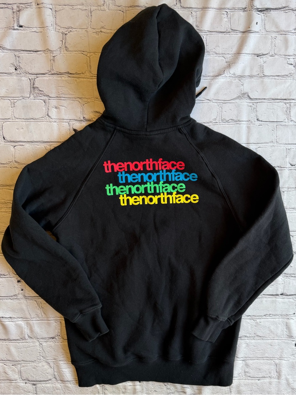 The North Face Womens Medium Hoodie Sweatshirt Rainbow Logo Spell Out  EUC Pride